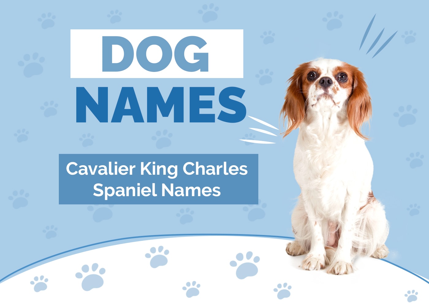 Names for Cavalier King Charles Spaniels