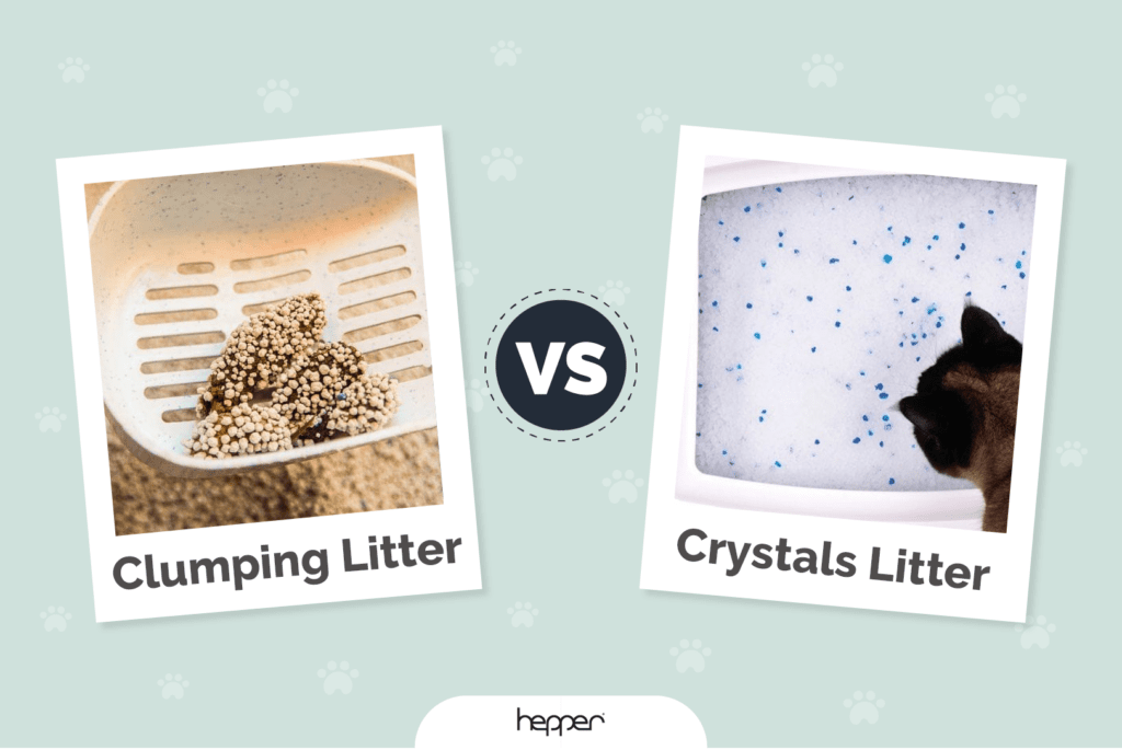 Clumping vs Crystal
