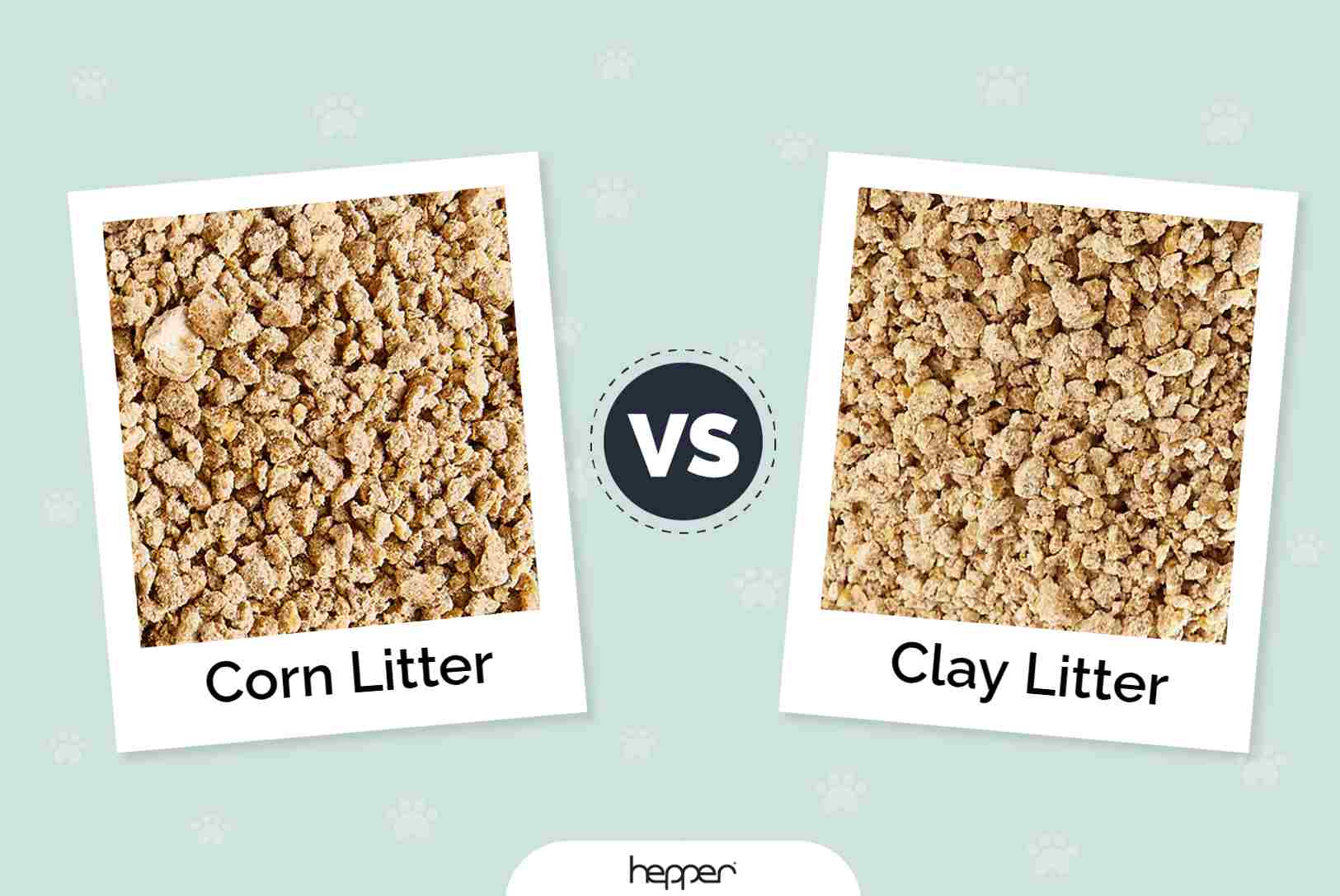 Corn litter versus clay litter