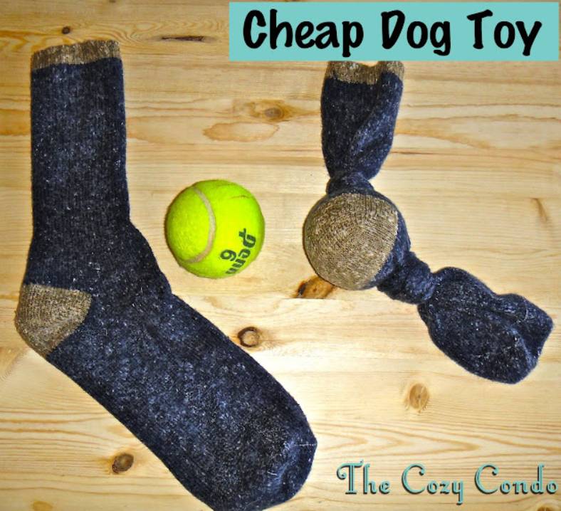 DIY Cheap Dog Toy