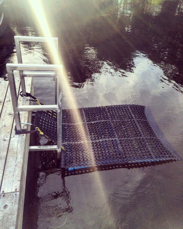 DIY DOCK & BOAT RAMP FOR DOGS