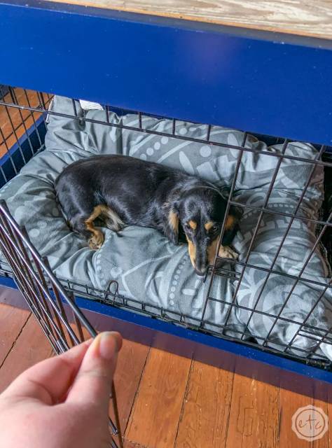 DIY DOG KENNEL COVER WITH AN ANTIQUE DOOR