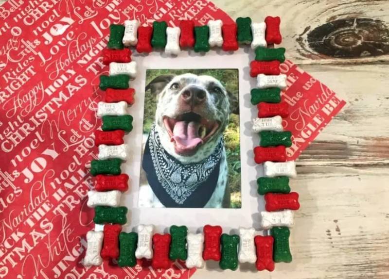 DIY Dog Bone Picture Frame