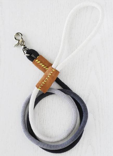 DIY Modern Dip-Dyed Rope Dog Leash