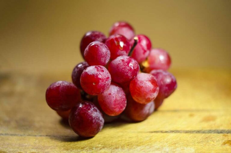 Picture of Are Dogs Allergic to Grapes? Vet Approved Facts & FAQs | Hepper Pet ...