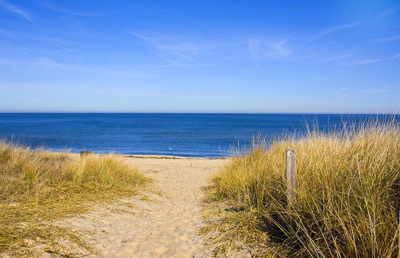 Norfolk Beach Virginia