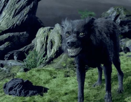 Sirius Black (Still from Harry Potter and The Prisoner of Azkaban - Characters by Warner Bros. Pictures)