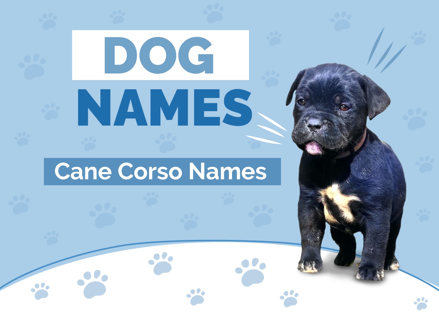 Names for Cane Corsos