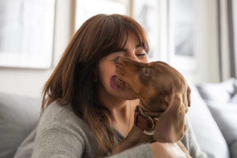 Why Does My Dog Lick My Mouth? 5 Vet-Reviewed Reasons | Hepper Pet