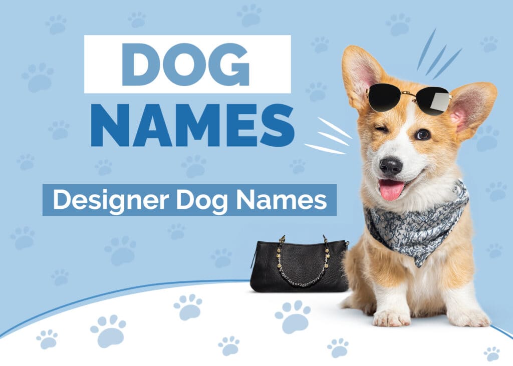 Designer Dog Names