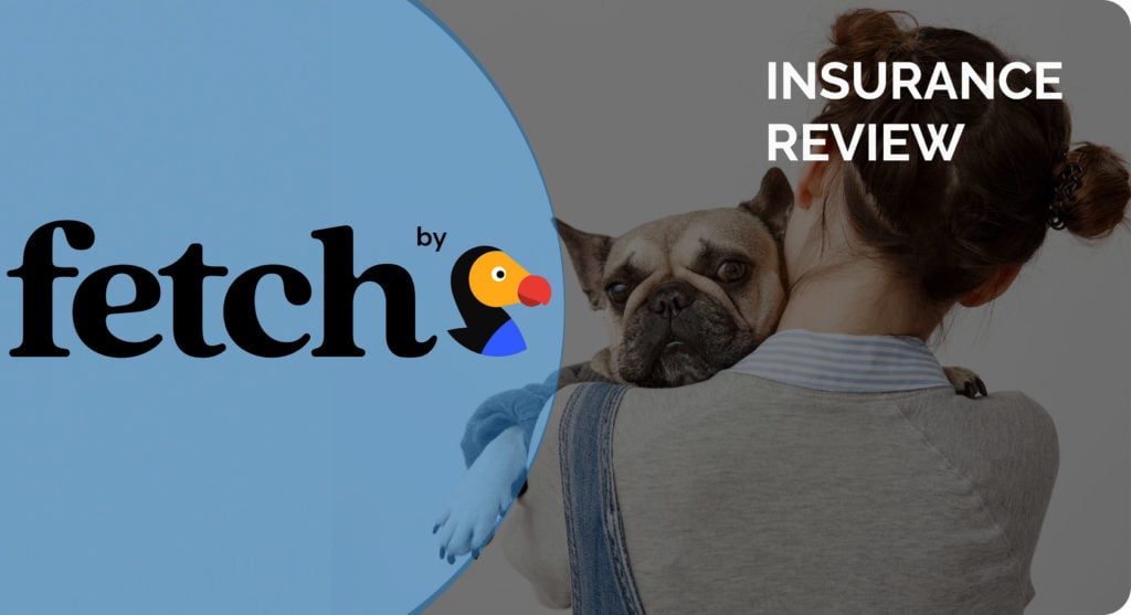 fetch review