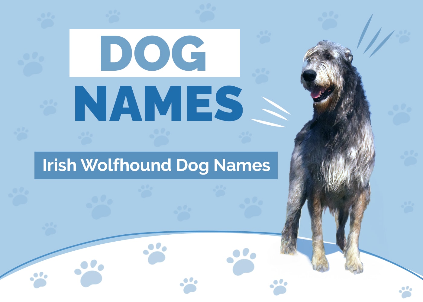 Irish Wolfhound Names