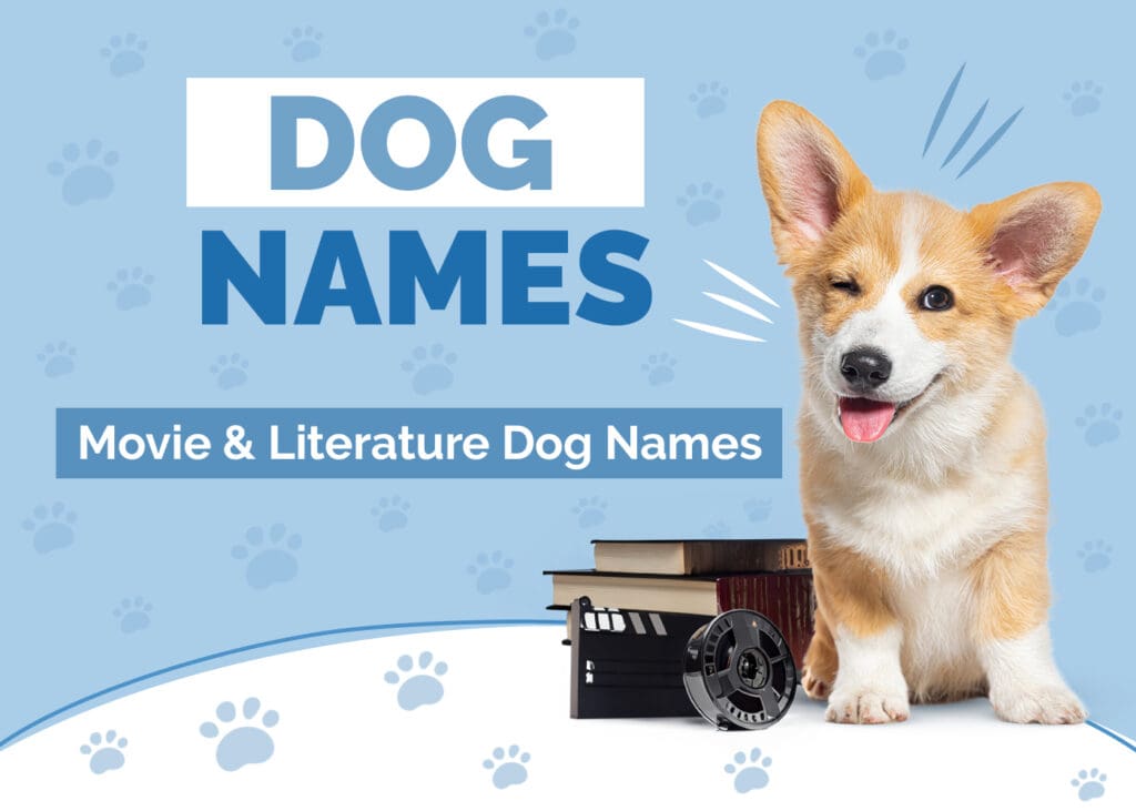 Dog Names From Movies