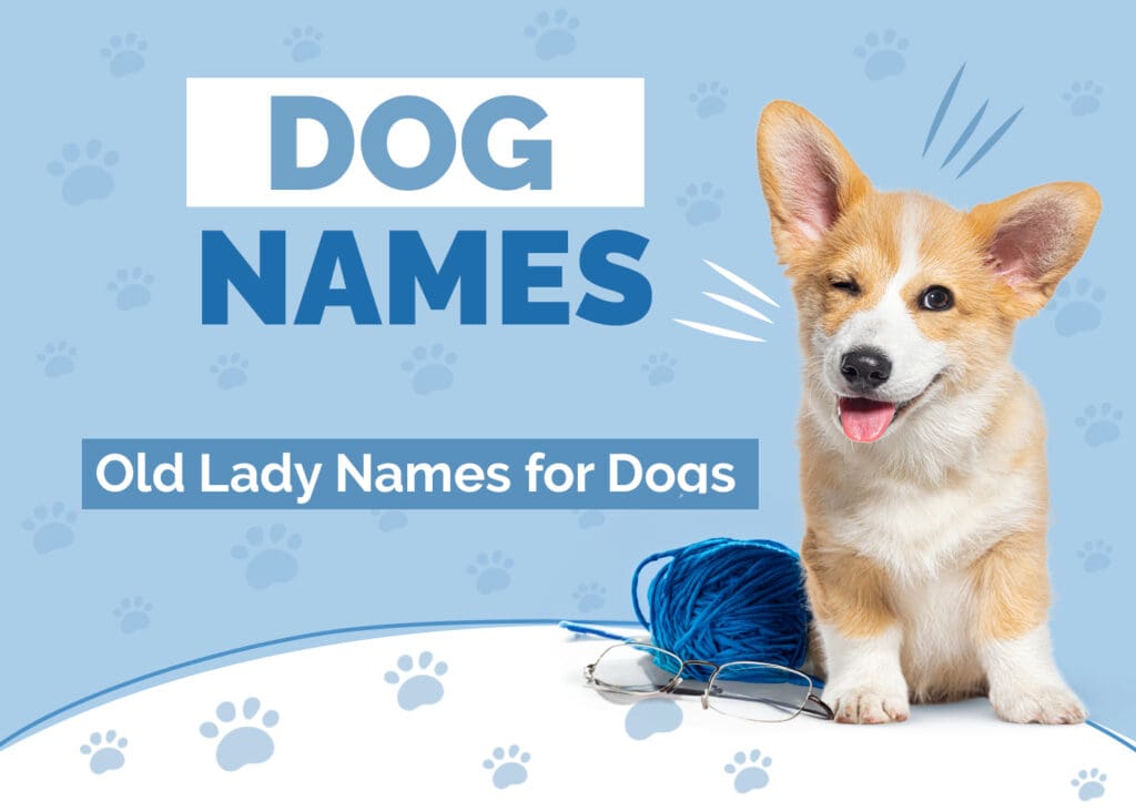 Old Lady Names for Dogs