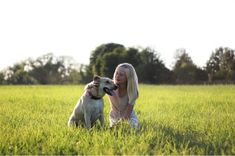 pet owner petted the dog.
