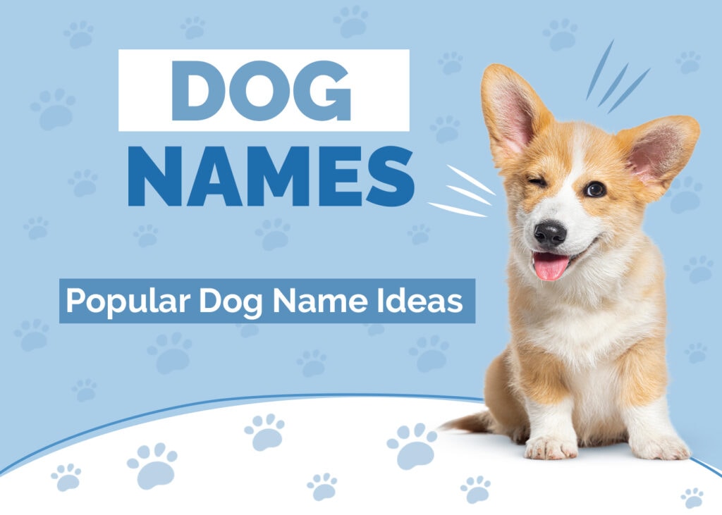 Popular Dog Names