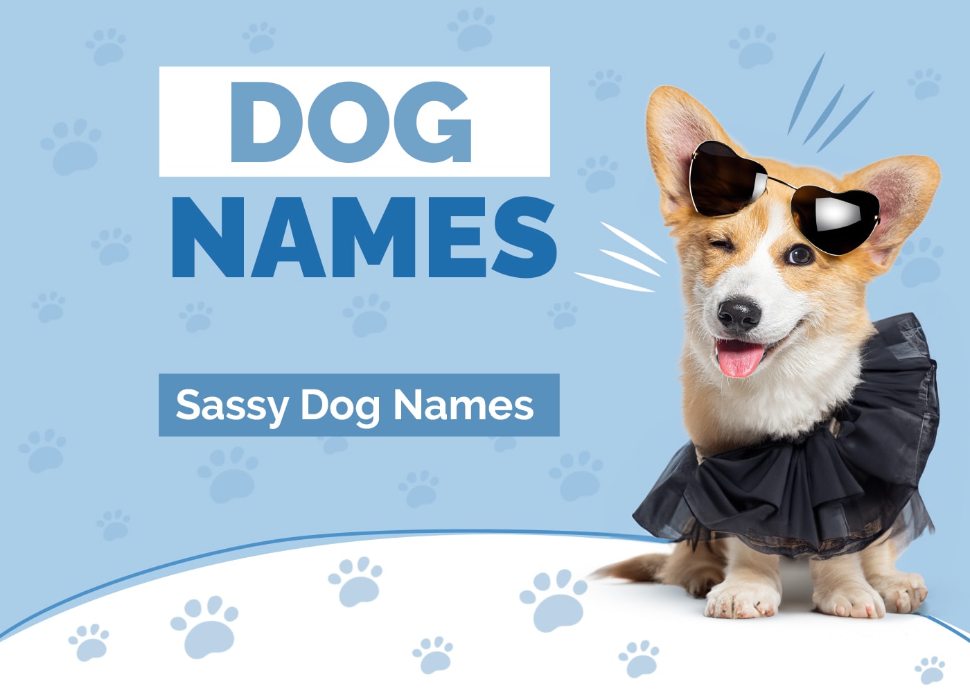 Sassy Dog Names
