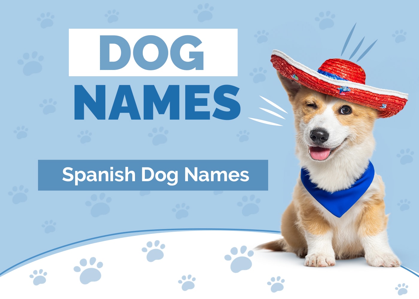 Spanish Dog Names