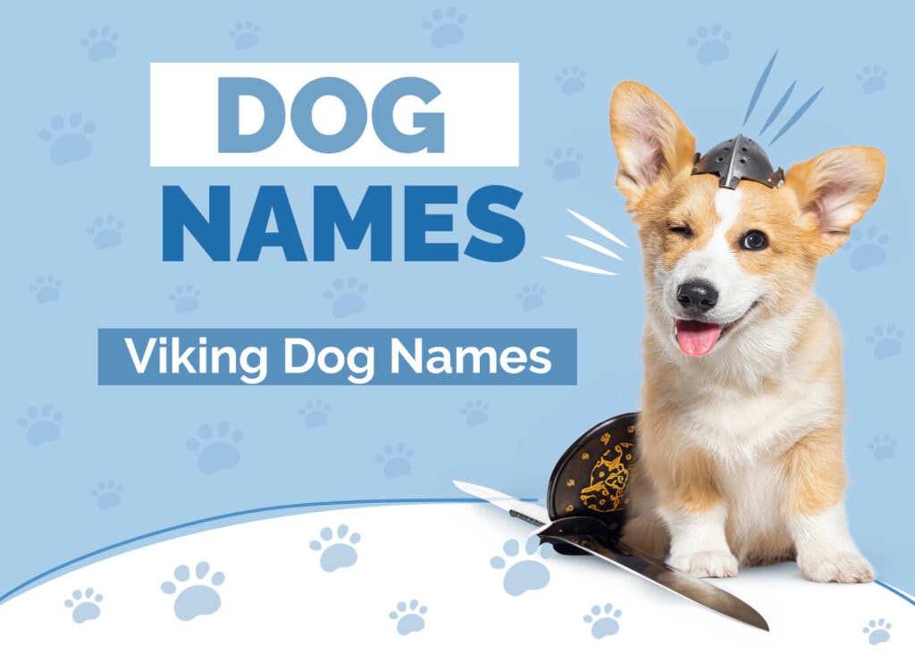Viking Dog Names