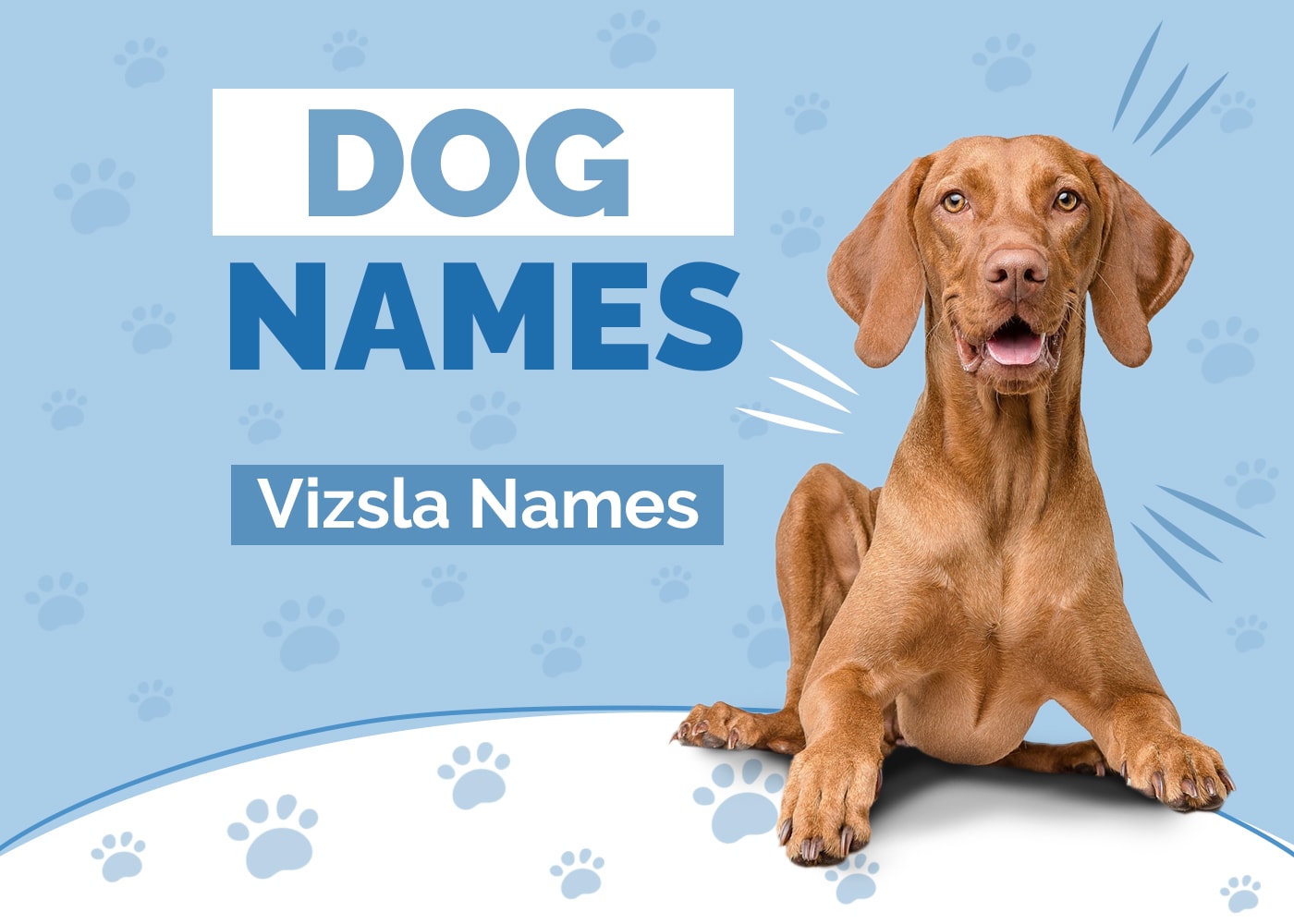 Fitting Names for Vizslas