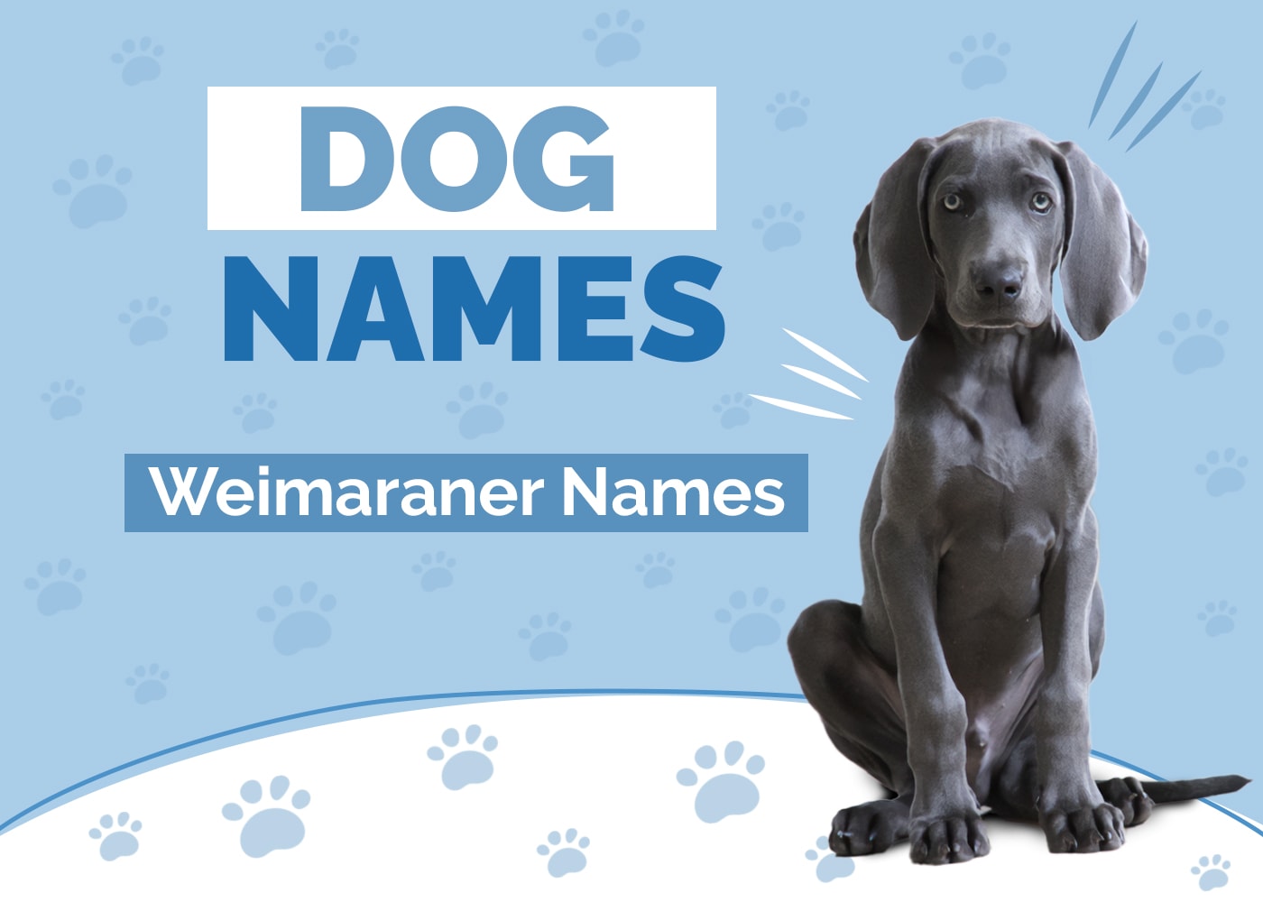 Names for Weimaraners