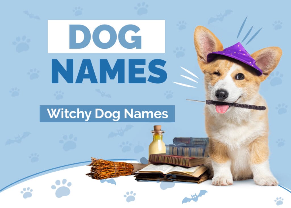 Witchy Dog Names