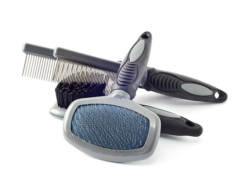 Accessories for the grooming of the dog