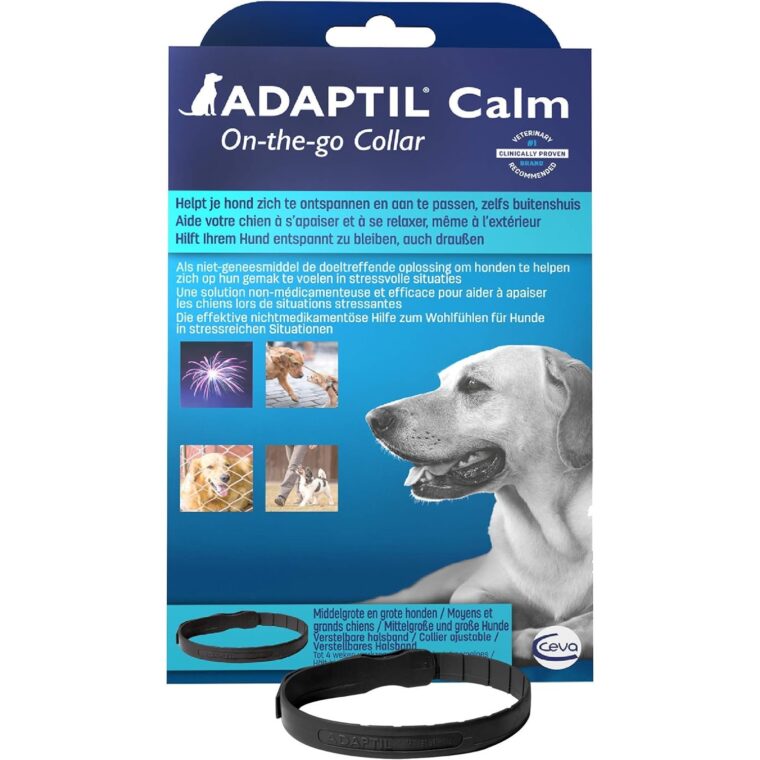 Picture of 6 Best Calming Collars for Dogs - 2026 Reviews and Top Picks | Hepper ...