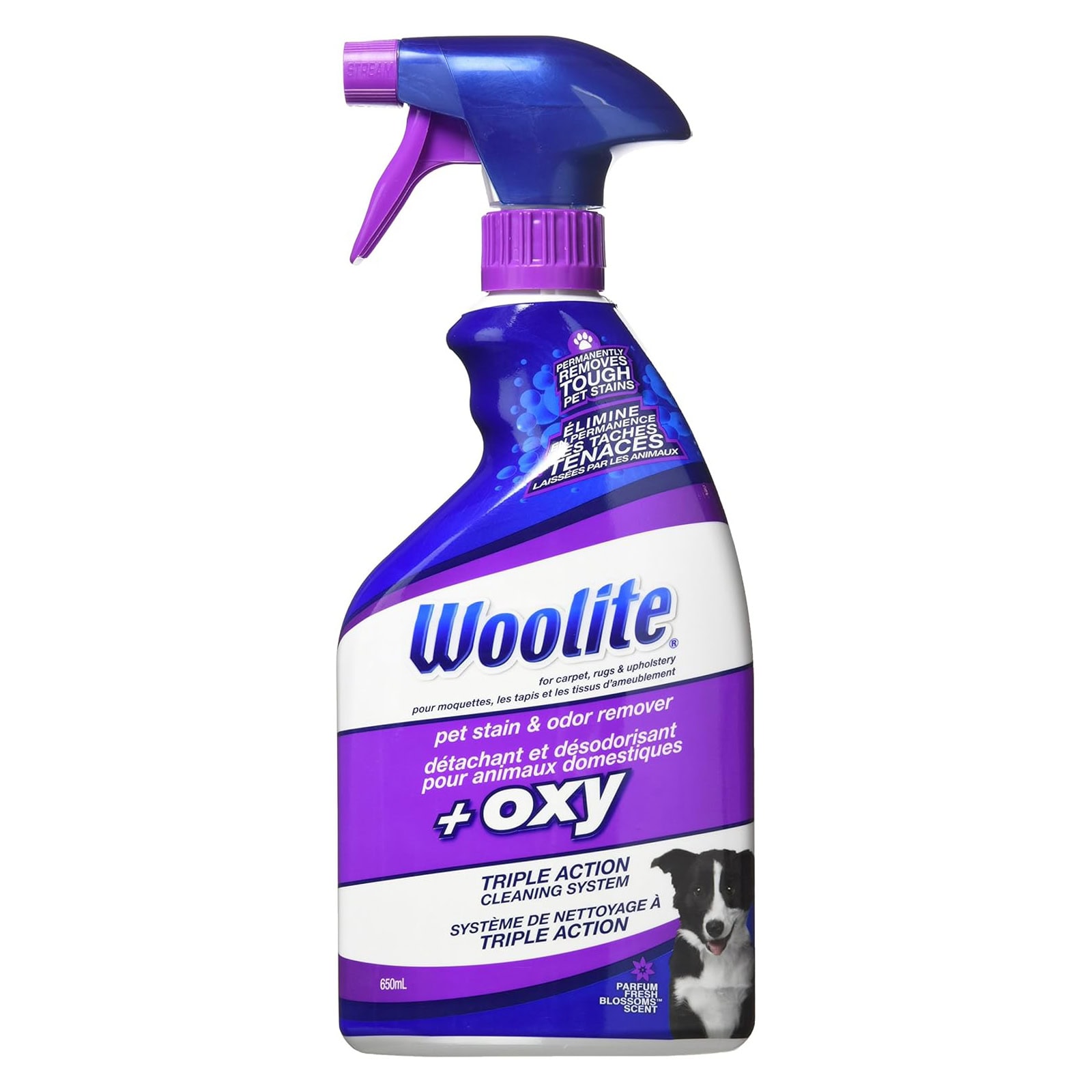 BISSELL 22 Ounce Woolite Oxygen Pet Stain & Odor Remover