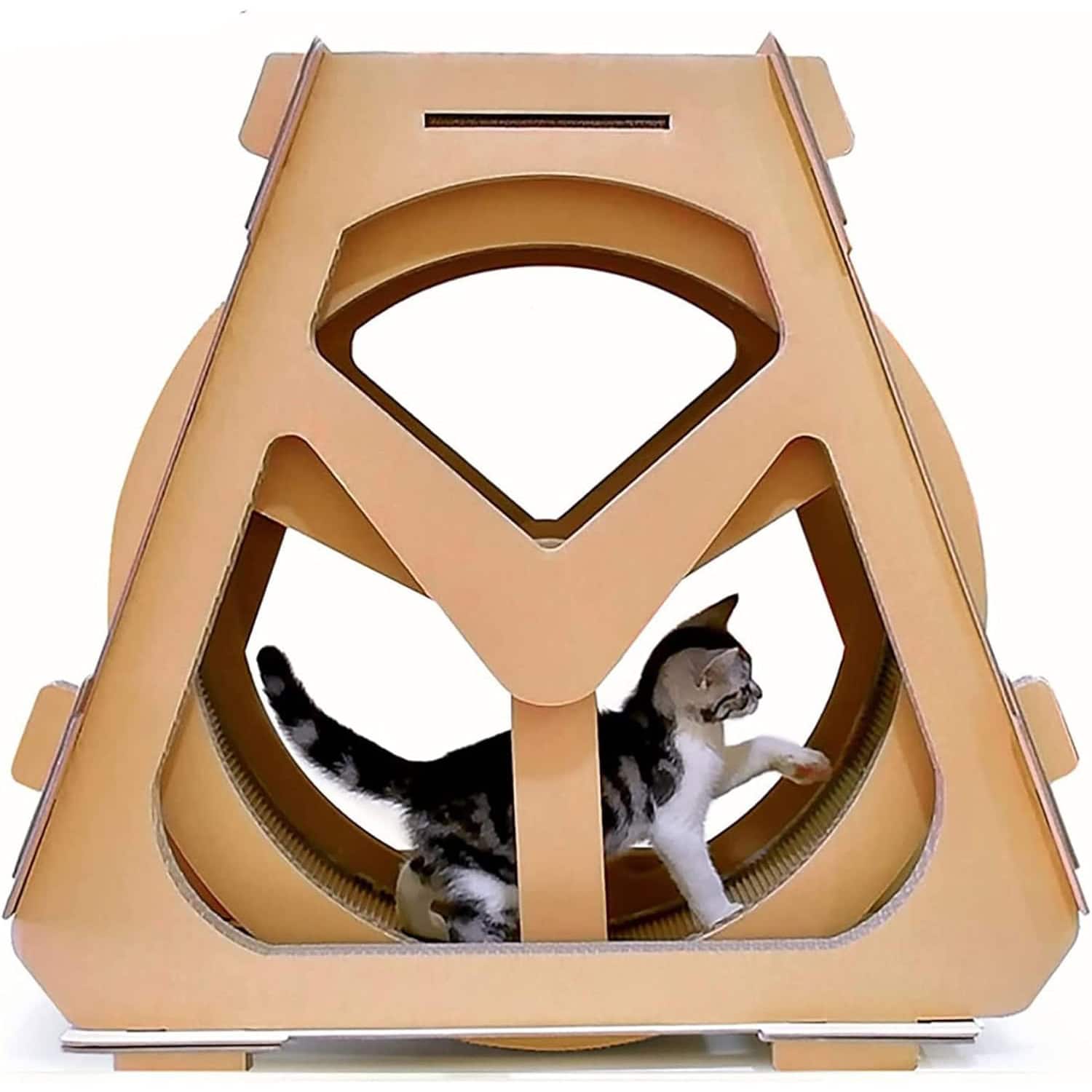 Cat Waterwheel and Turntable
