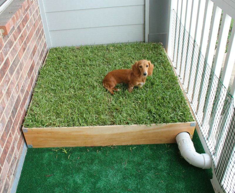 Dog Porch Potty with Real Grass and Drainage System