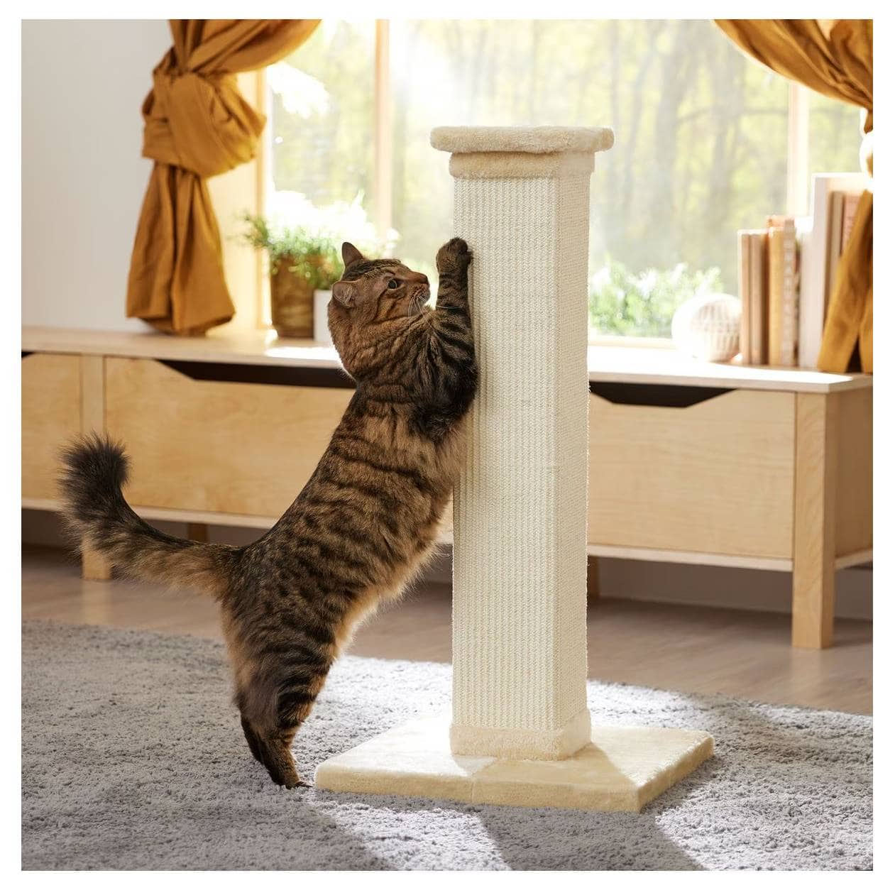 Frisco 33.5-Inch Sisal Cat Scratching Post