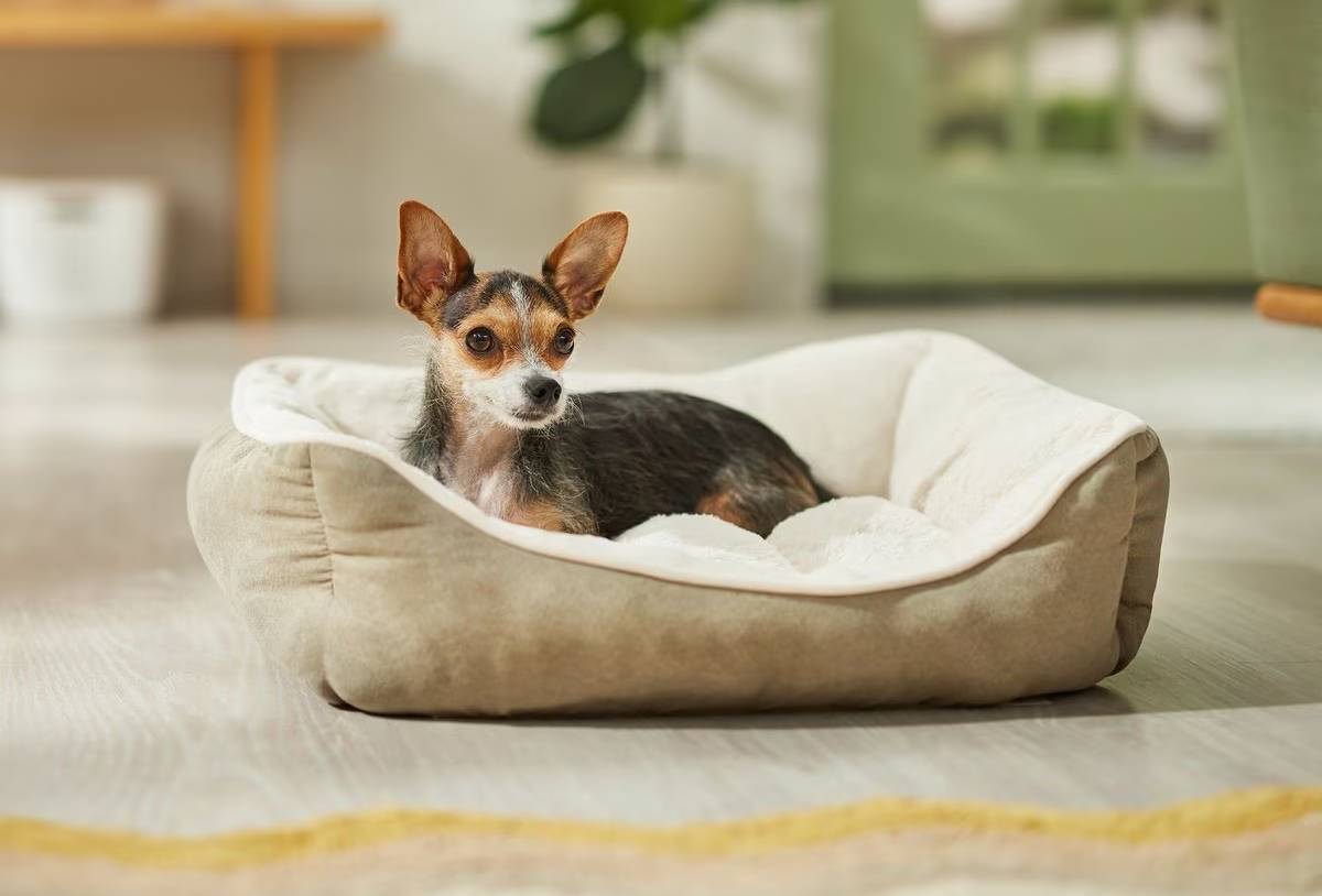 Frisco Rectangular Bolster Cat Bed