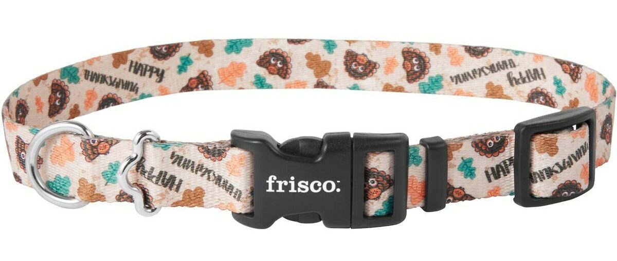 Frisco Thanksgiving Turkey Dog Collar