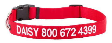 GoTags Nylon Personalized Dog Collar