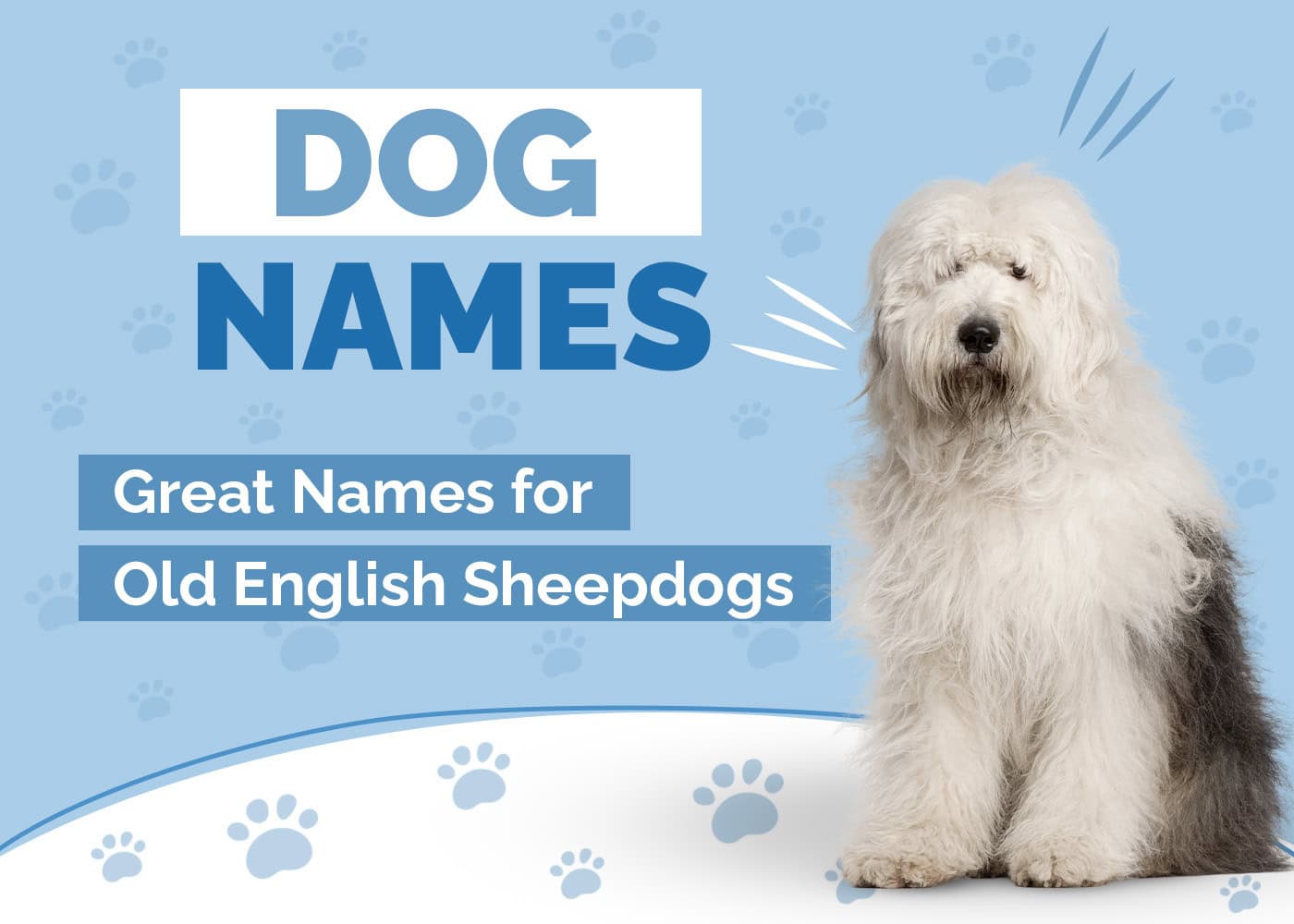 Dog Names for old English Sheepdogs