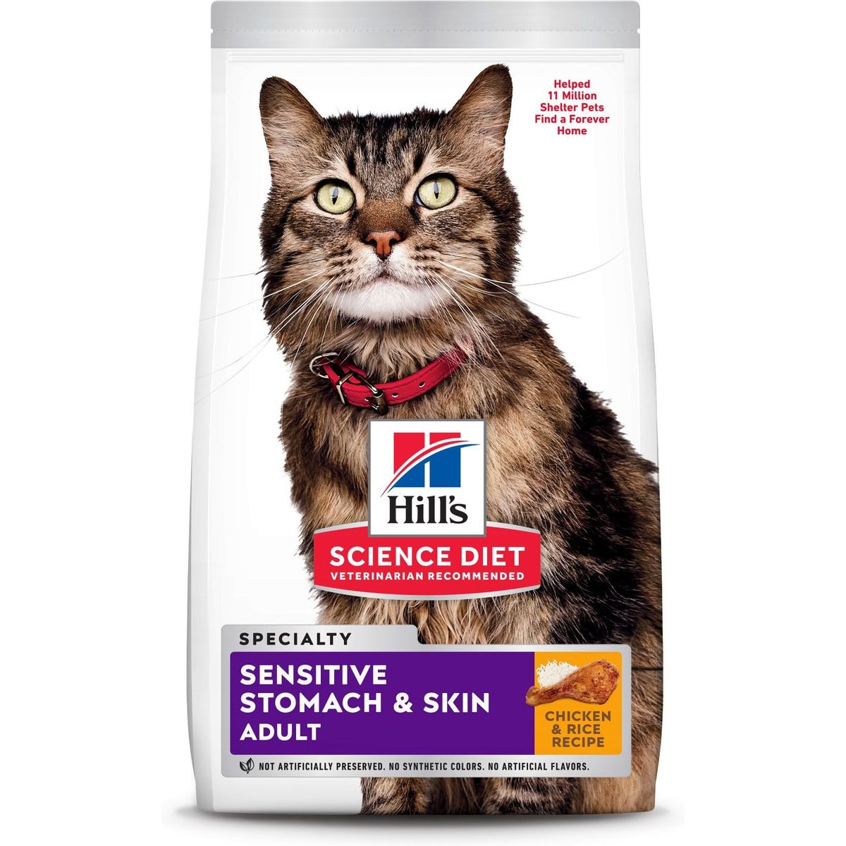 Hill’s Science Diet Stomach & Skin Dry Cat Food
