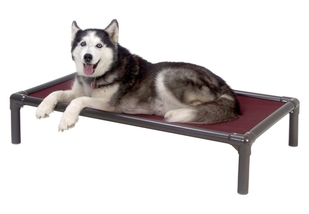 Kuranda Elevated Indoor Bed