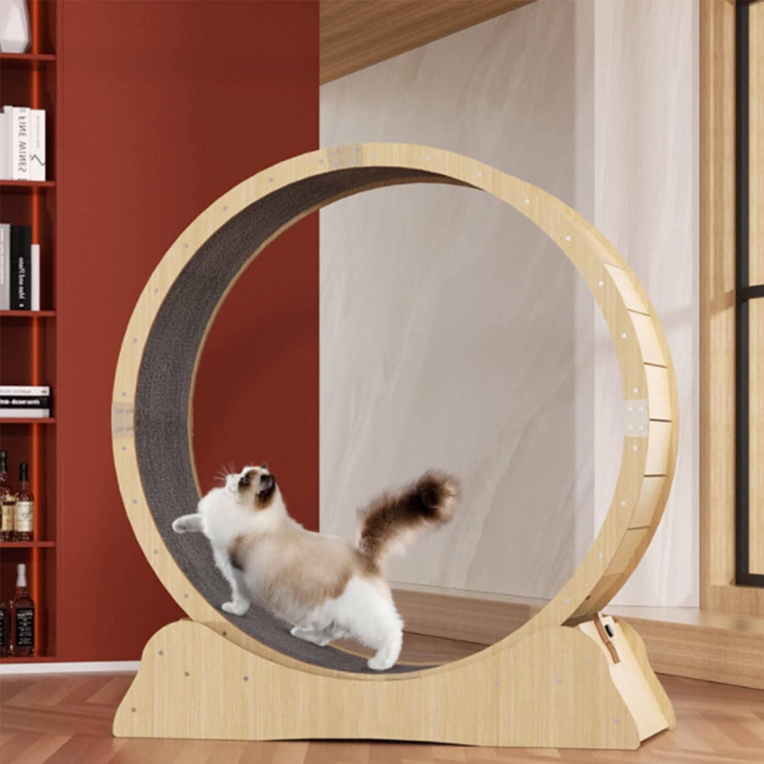 Large Cat Running Wheel