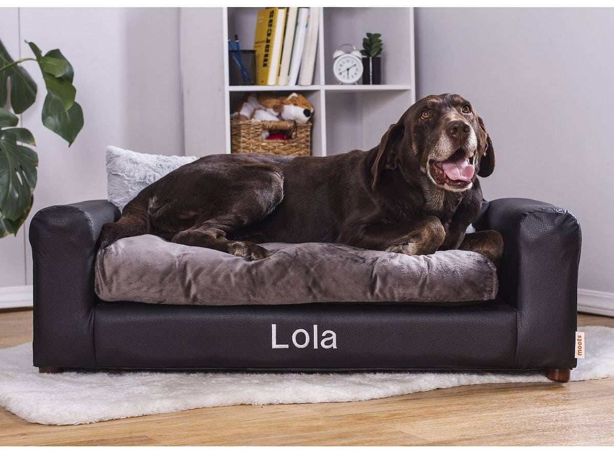 Moots Personalized Leatherette Sofa Dog Bed
