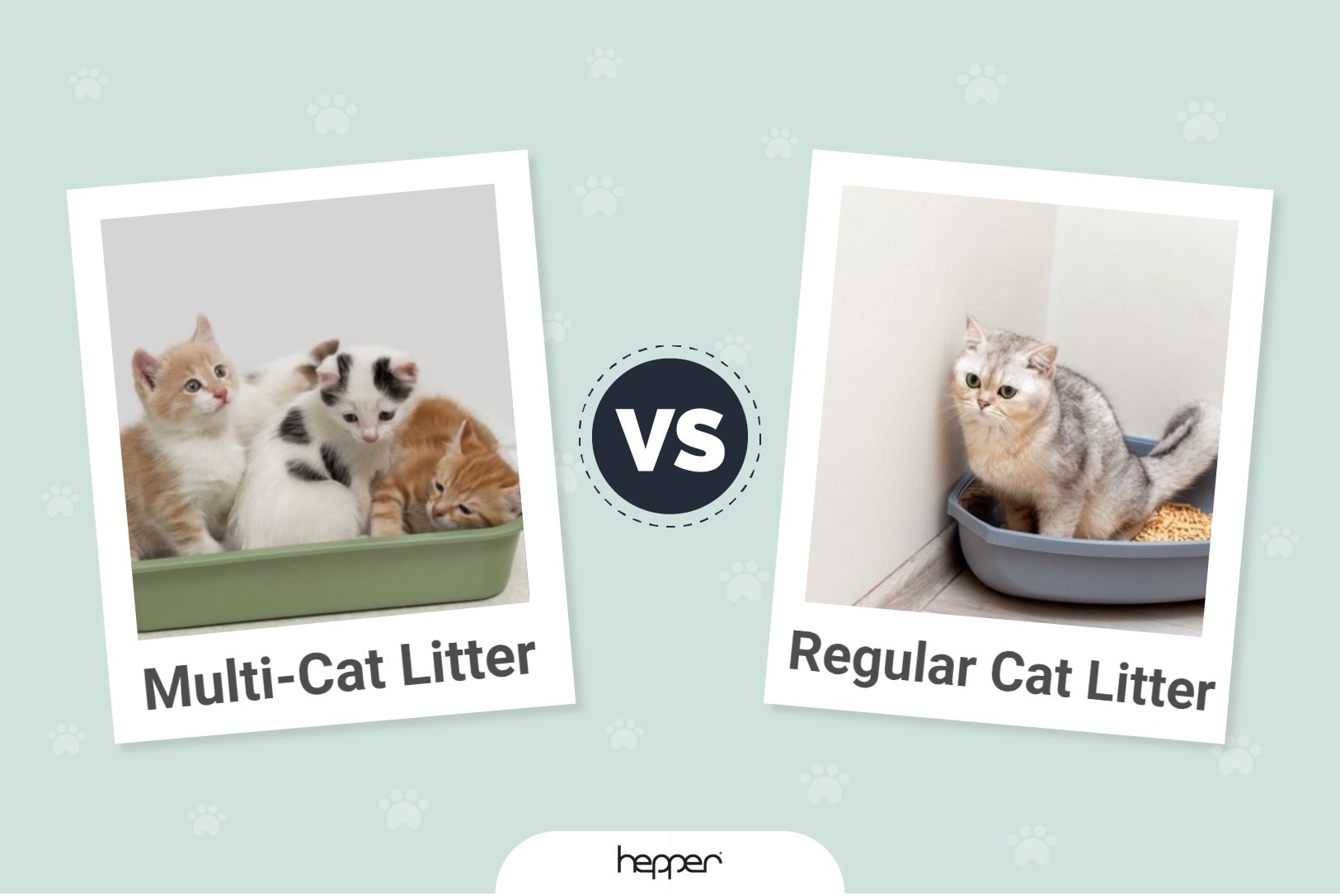 MultivsRegular_Cat Litter