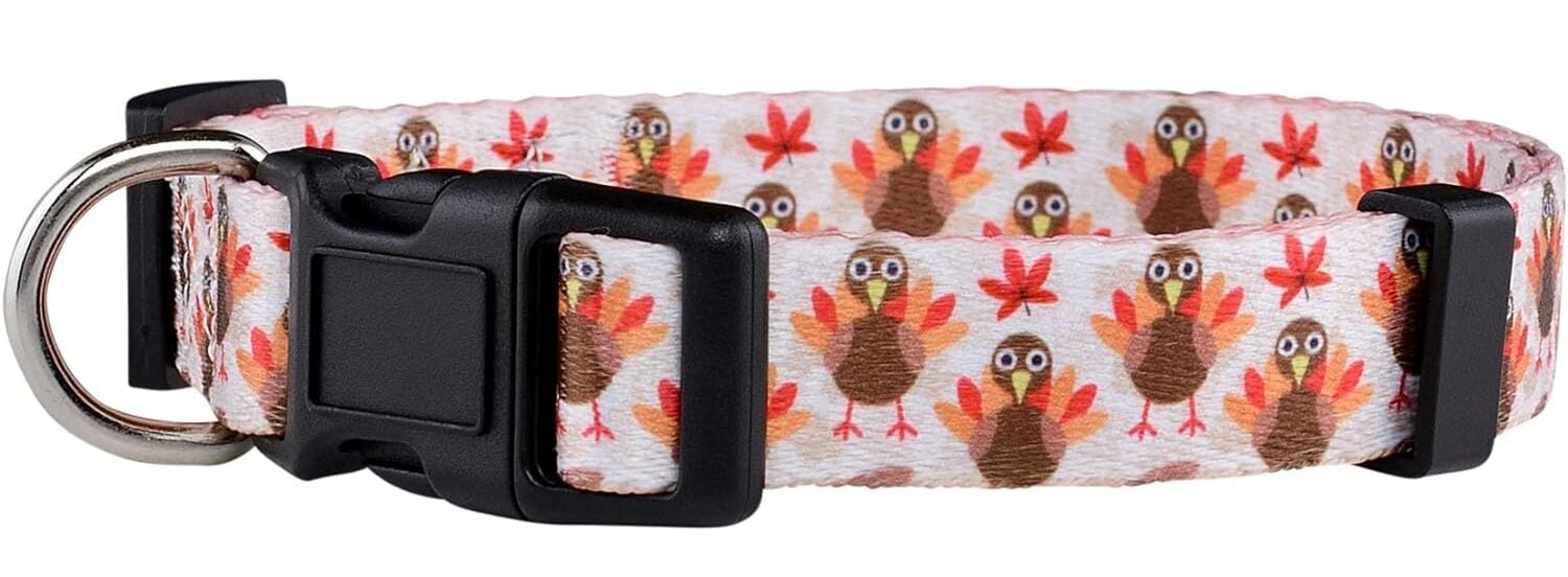 Native Pup Thanksgiving Dog Collar