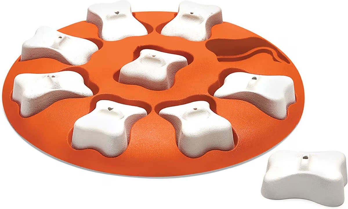Nina Ottosson by Outward Hound Puppy Smart Dog Toy 