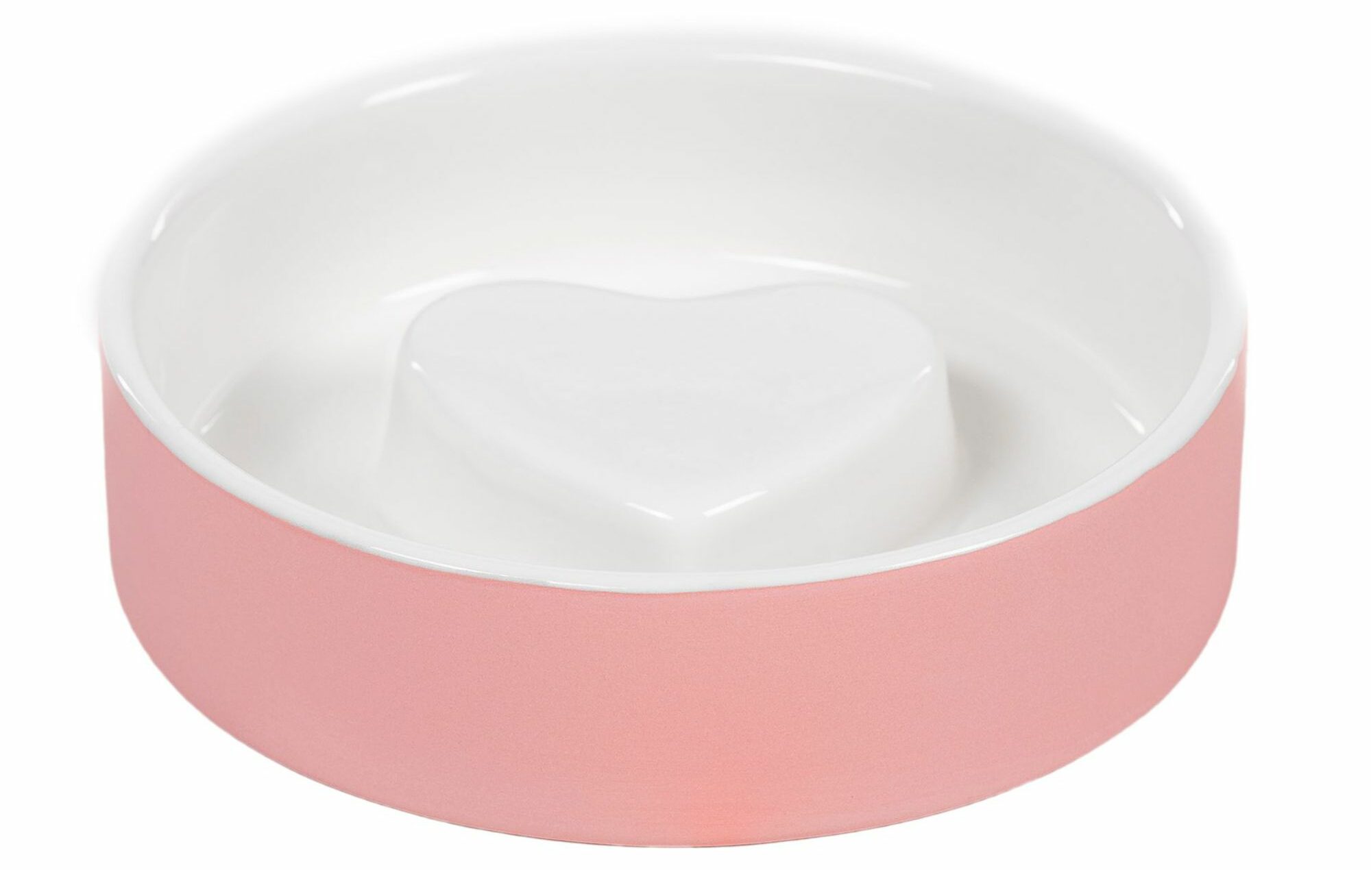 Paikka Slow Feed Ceramic Dog & Cat Bowl