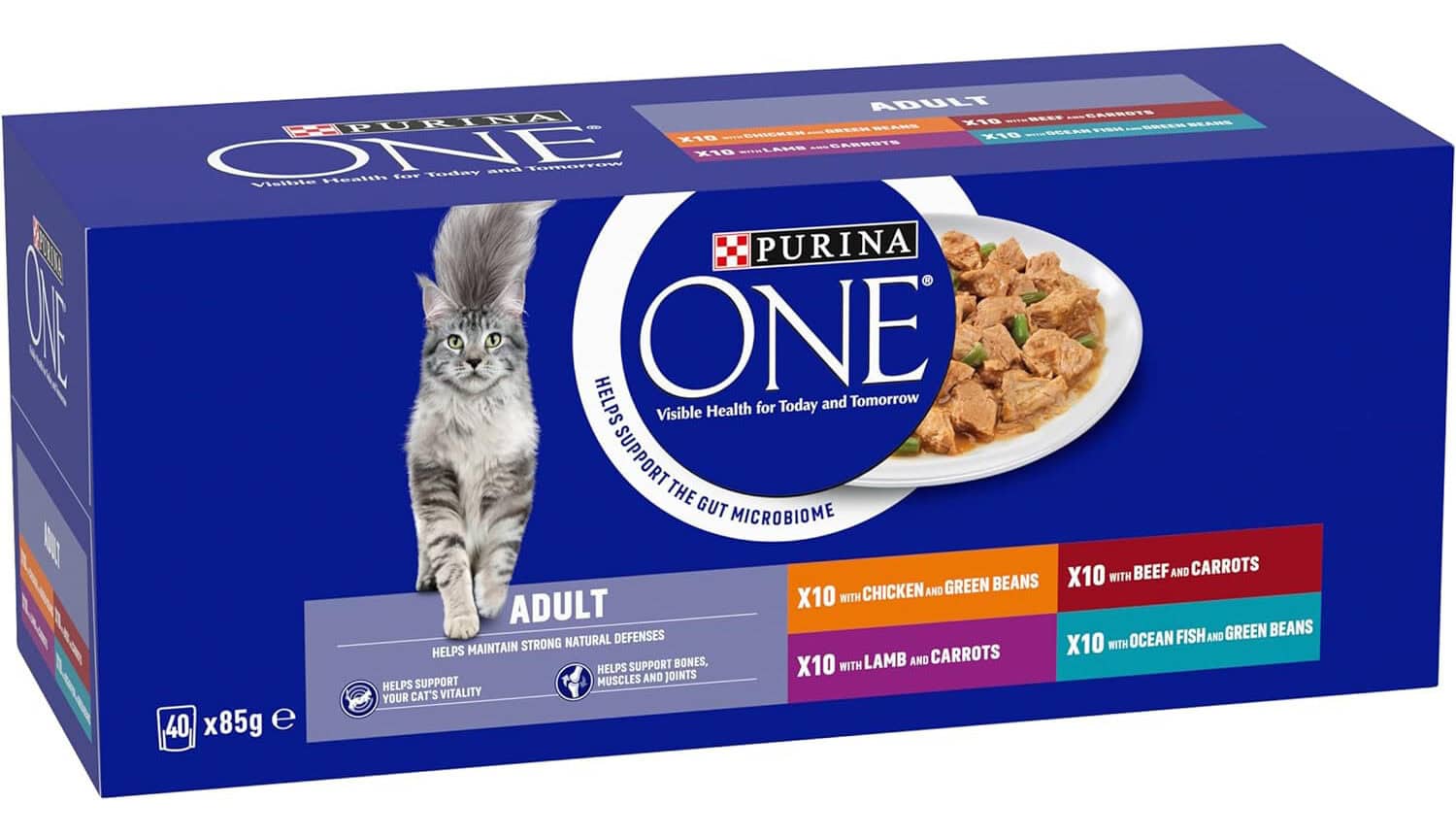 Purina ONE Adult Cat Food