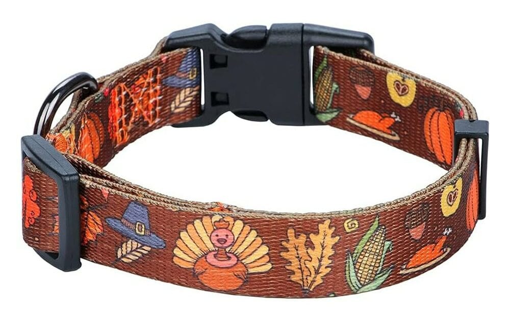 Rhea Rose Fall Halloween Thanksgiving Dog Collar