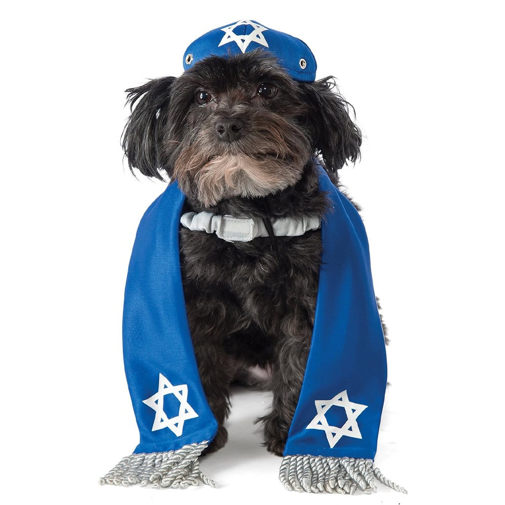Rubie's Yarmulke and Tallis Dog Costume