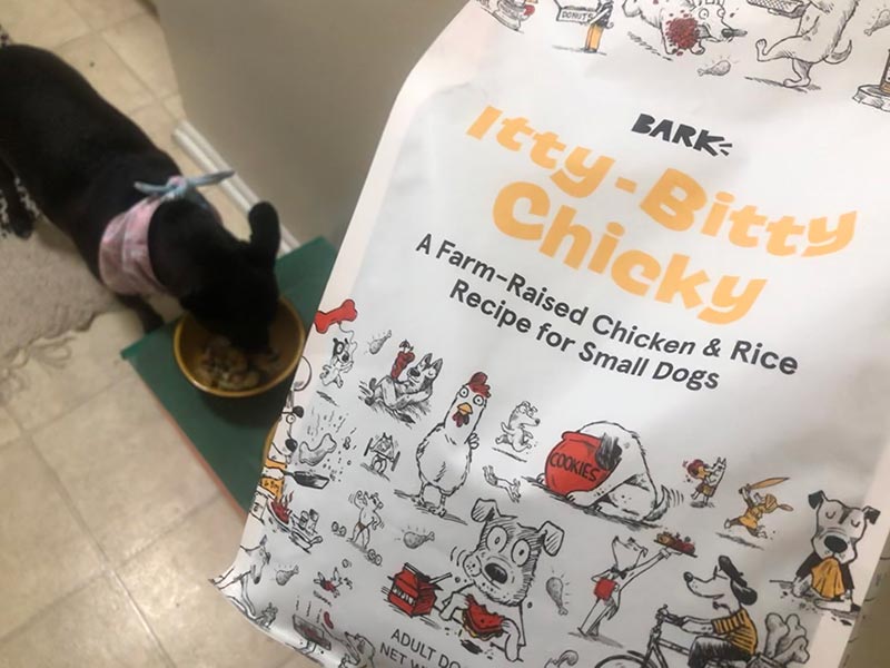 a black dog eating bark itty-bitty chicky