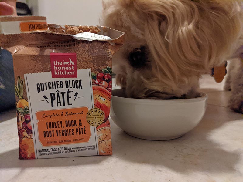 a dog eating the honest kitchen butcher block pate