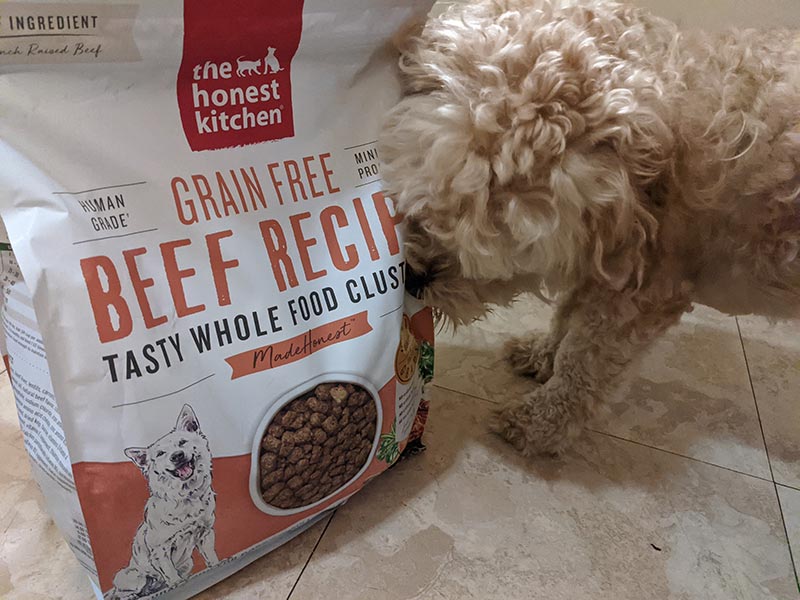 a dog sniffing on the honest kitchen beef recipe packaging